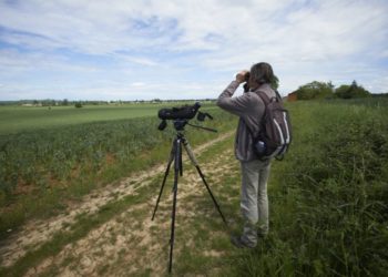 Article Reporterre ZAC des Portes du Tarn