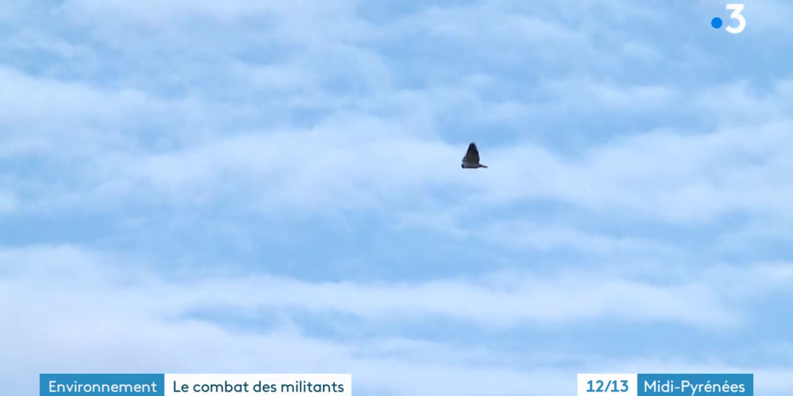 Portes du Tarn / Terra 2 : Vidéo de France 3 Occitanie