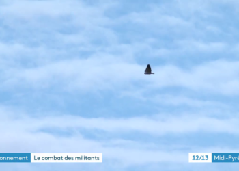 Portes du Tarn / Terra 2 : Vidéo de France 3 Occitanie