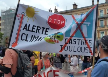 LE DOCUMENTAIRE ALLIANCES TERRESTRES🌳🤝✊