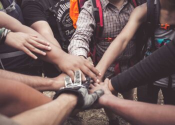DON AU COLLECTIF POUR LA SAUVEGARDE DE LA ZONE HUMIDE DU TESTET